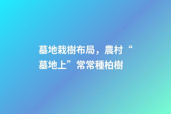 墓地栽樹布局，農村“墓地上”常常種柏樹-第1張-觀點-玄機派