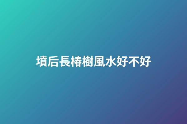 墳后長椿樹風水好不好