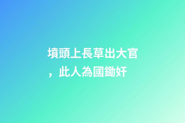 墳頭上長草出大官，此人為國鋤奸-第1張-觀點-玄機派