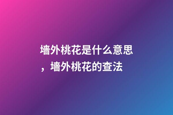 墻外桃花是什么意思，墻外桃花的查法