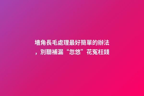 墻角長毛處理最好簡單的辦法，別聽補漏“忽悠”花冤枉錢-第1張-觀點-玄機派