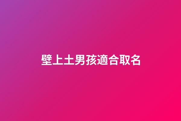 壁上土男孩適合取名(壁上土男孩小名)