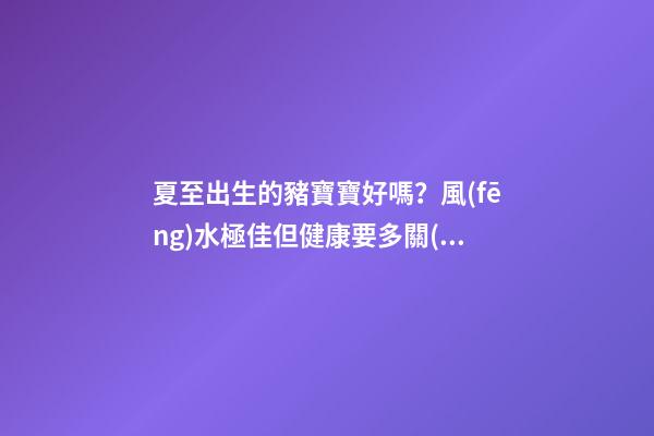 夏至出生的豬寶寶好嗎？風(fēng)水極佳但健康要多關(guān)注