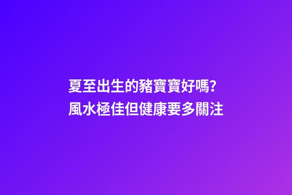 夏至出生的豬寶寶好嗎？風水極佳但健康要多關注