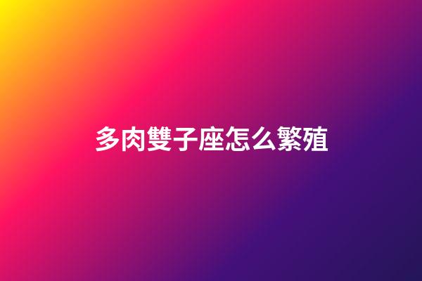 多肉雙子座怎么繁殖-第1張-星座運勢-玄機派