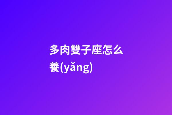 多肉雙子座怎么養(yǎng)-第1張-星座運勢-玄機派