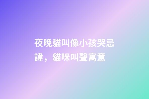 夜晚貓叫像小孩哭忌諱，貓咪叫聲寓意