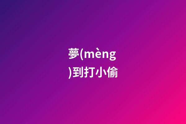 夢(mèng)到打小偷