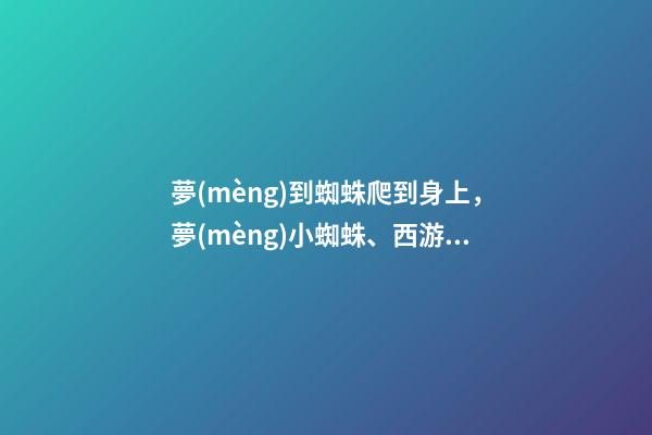 夢(mèng)到蜘蛛爬到身上，夢(mèng)小蜘蛛、西游記、怪獸找人(19)-第1張-觀點(diǎn)-玄機(jī)派