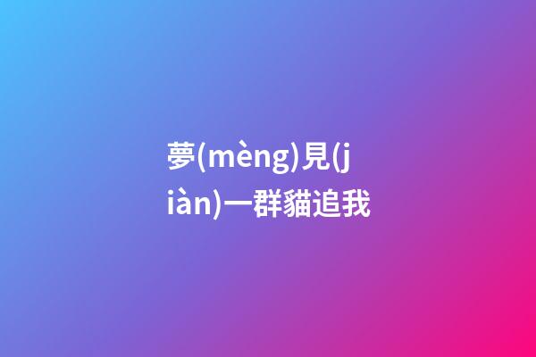 夢(mèng)見(jiàn)一群貓追我