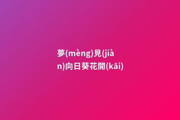 夢(mèng)見(jiàn)向日葵花開(kāi)