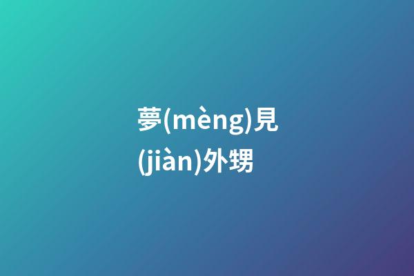 夢(mèng)見(jiàn)外甥