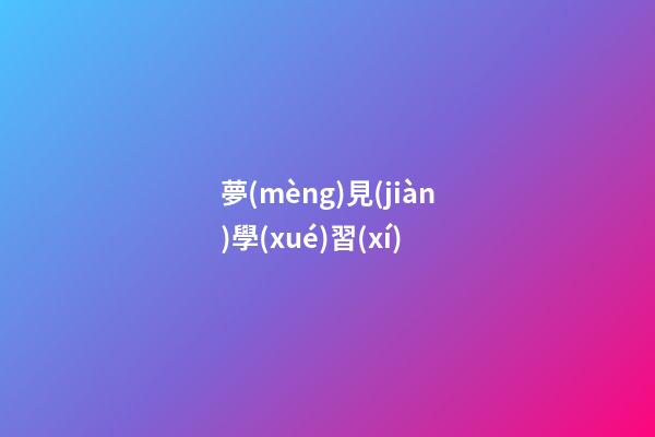 夢(mèng)見(jiàn)學(xué)習(xí)