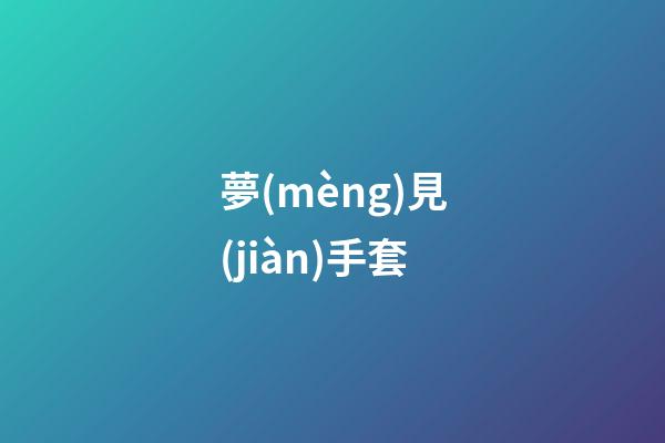 夢(mèng)見(jiàn)手套
