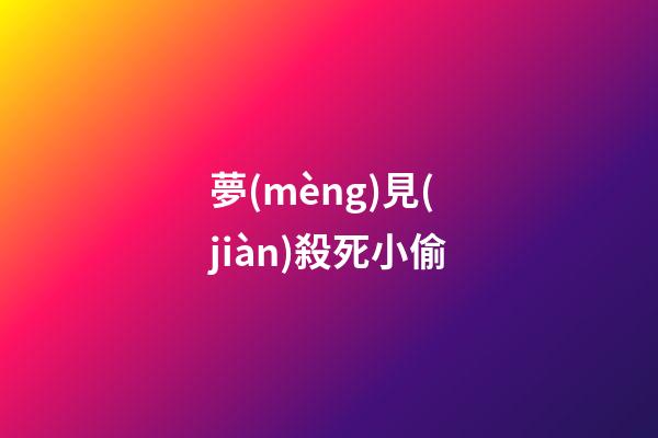 夢(mèng)見(jiàn)殺死小偷