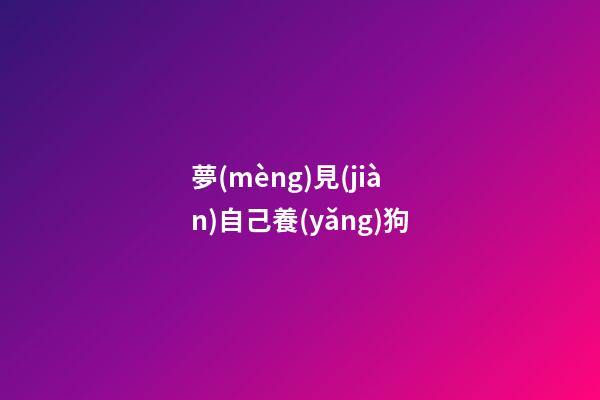 夢(mèng)見(jiàn)自己養(yǎng)狗