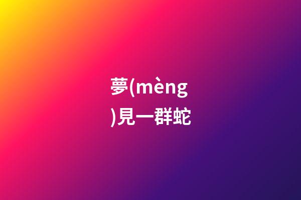 夢(mèng)見一群蛇