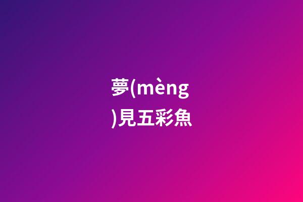 夢(mèng)見五彩魚