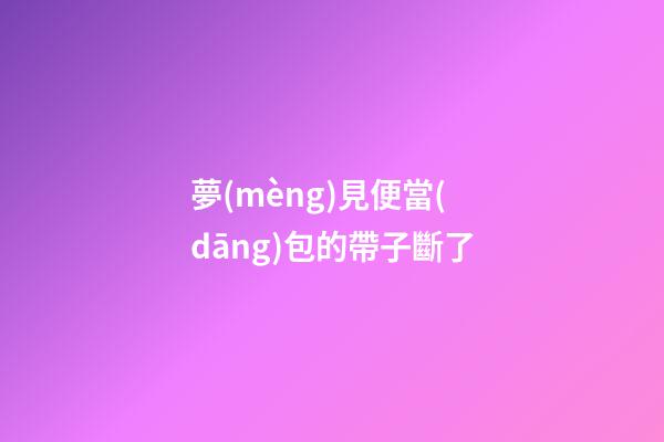 夢(mèng)見便當(dāng)包的帶子斷了
