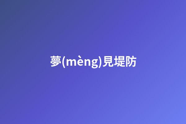 夢(mèng)見堤防
