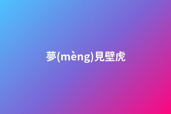夢(mèng)見壁虎