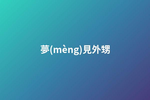 夢(mèng)見外甥