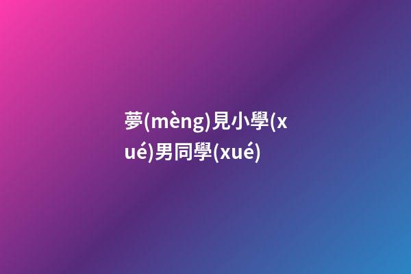 夢(mèng)見小學(xué)男同學(xué)