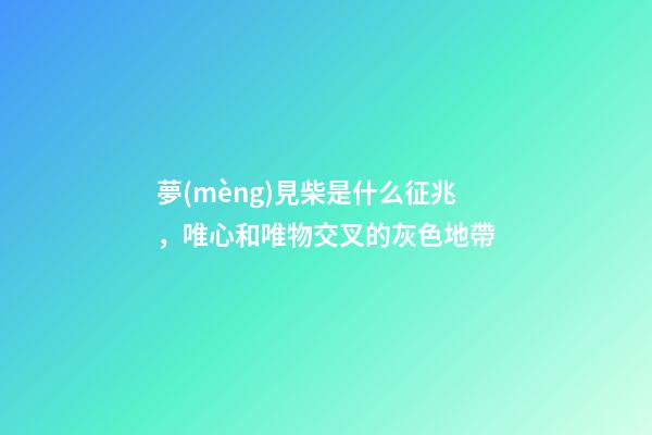 夢(mèng)見柴是什么征兆，唯心和唯物交叉的灰色地帶-第1張-觀點(diǎn)-玄機(jī)派