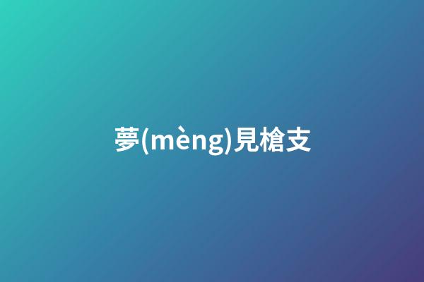 夢(mèng)見槍支