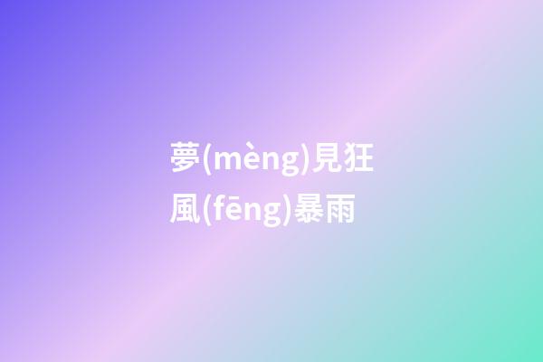 夢(mèng)見狂風(fēng)暴雨