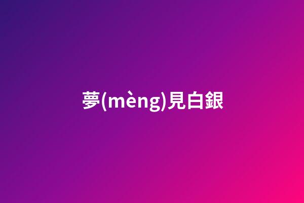 夢(mèng)見白銀