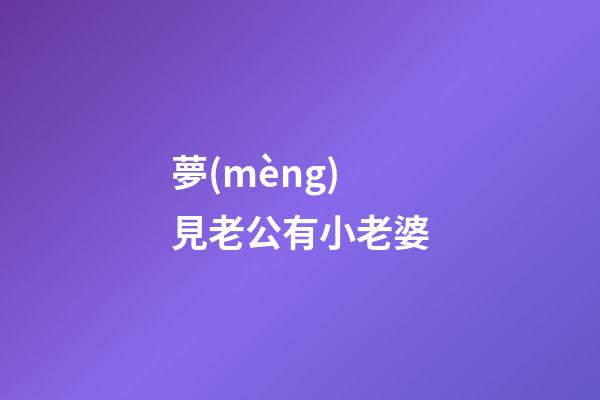 夢(mèng)見老公有小老婆