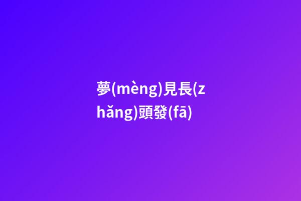 夢(mèng)見長(zhǎng)頭發(fā)