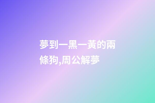 夢到一黑一黃的兩條狗,周公解夢-第1張-觀點-玄機派