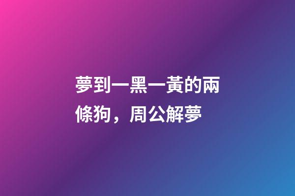 夢到一黑一黃的兩條狗，周公解夢-第1張-觀點-玄機派