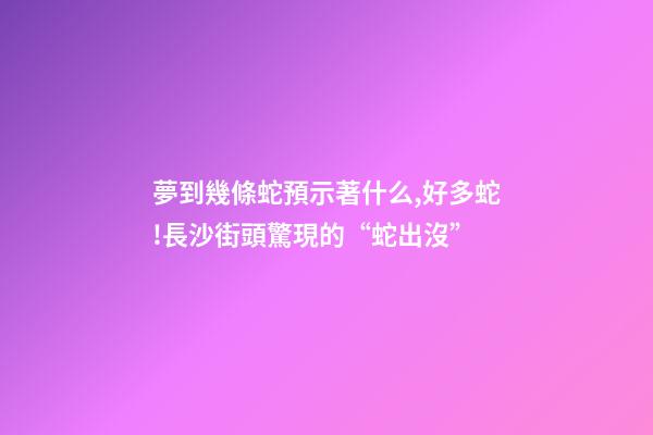 夢到幾條蛇預示著什么,好多蛇!長沙街頭驚現的“蛇出沒”-第1張-觀點-玄機派