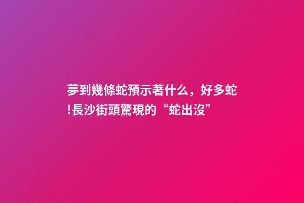 夢到幾條蛇預示著什么，好多蛇!長沙街頭驚現的“蛇出沒”-第1張-觀點-玄機派