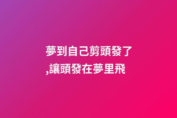 夢到自己剪頭發了,讓頭發在夢里飛-第1張-觀點-玄機派