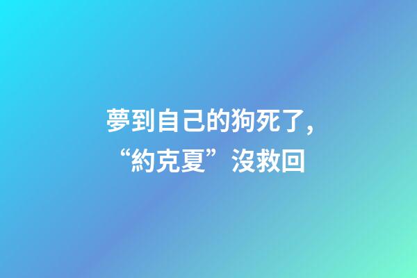 夢到自己的狗死了,“約克夏”沒救回-第1張-觀點-玄機派