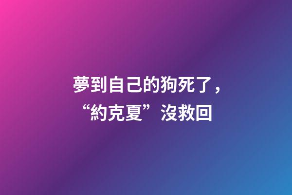 夢到自己的狗死了，“約克夏”沒救回-第1張-觀點-玄機派