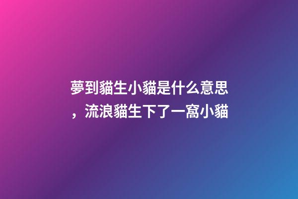 夢到貓生小貓是什么意思，流浪貓生下了一窩小貓-第1張-觀點-玄機派