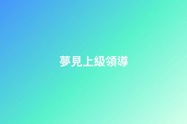 夢見上級領導