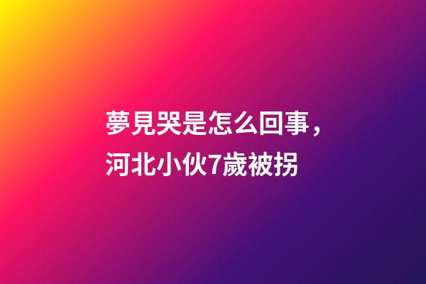 夢見哭是怎么回事，河北小伙7歲被拐-第1張-觀點-玄機派