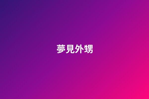夢見外甥