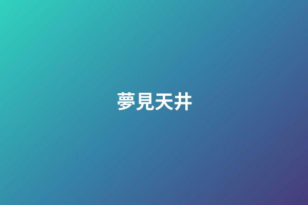 夢見天井