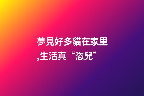 夢見好多貓在家里,生活真“恣兒”-第1張-觀點-玄機派