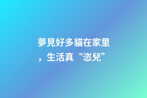 夢見好多貓在家里，生活真“恣兒”-第1張-觀點-玄機派