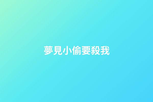 夢見小偷要殺我