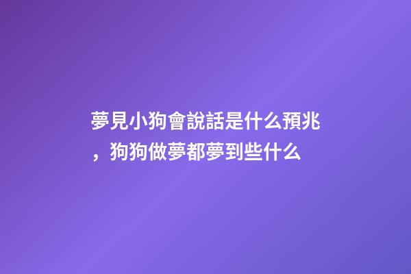 夢見小狗會說話是什么預兆，狗狗做夢都夢到些什么-第1張-觀點-玄機派