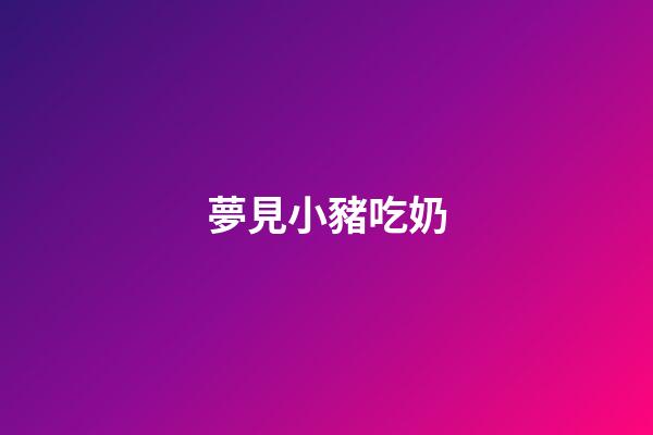 夢見小豬吃奶